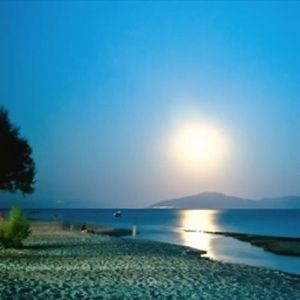 Meet your Posher, Maryann